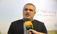 تأکید نماینده شادگان بر حمایت ویژه از کشاورزان خوزستان؛ ضرورت تأمین سوخت، کود و پرداخت مطالبات گندم‌کاران