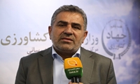 اولویت ما ایجاد عدالت در نظام پرداخت کارکنان جهاد کشاورزی است/ تقدیر از هوشمندسازی و مدیریت بازار در دوران بحران