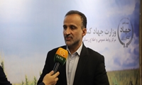 امنیت غذایی و توسعه زیرساخت‌های واردات کالاهای اساسی، از شاخص‌ترین دستاوردهای دولت چهاردهم در جهاد کشاورزی