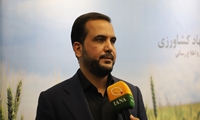 یوسفی: حرکت به سمت کشاورزی مدرن و هوشمند، اقدامی شاخص در وزارت جهاد کشاورزی دولت چهاردهم است