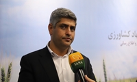 نصیری: تبدیل تهدید تحریم‌ها به فرصت خودکفایی با تکیه بر کشاورزی مدرن/ لزوم حمایت دولت از گذار به کشت مکانیزه