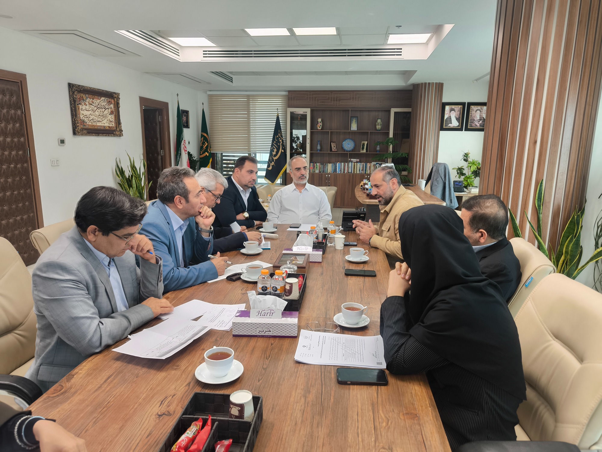 کیوی آستارا در مسیر بازارهای خارجی / پیگیری برای تسهیل تولید و صادرات
